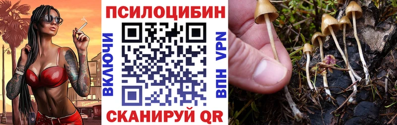 Псилоцибиновые грибы MAGIC MUSHROOMS  где можно купить   Россошь 